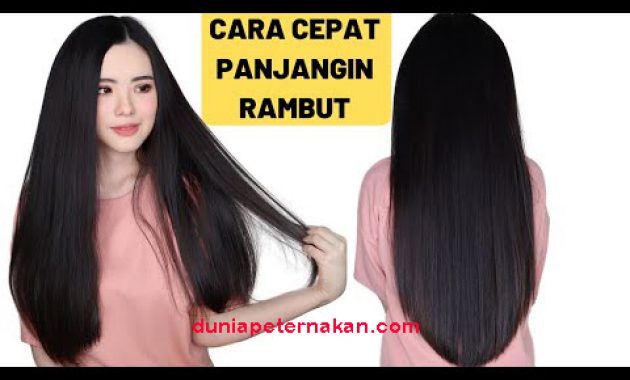  Cara  Memanjangkan Rambut  harga obat vitamin shampo manfaat