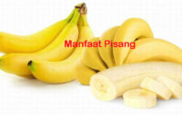 manfaat pisang