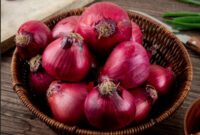 manfaat bawang merah buat merpati