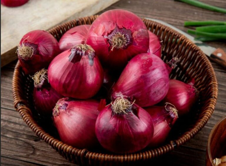 Manfaat Bawang Merah Buat Merpati